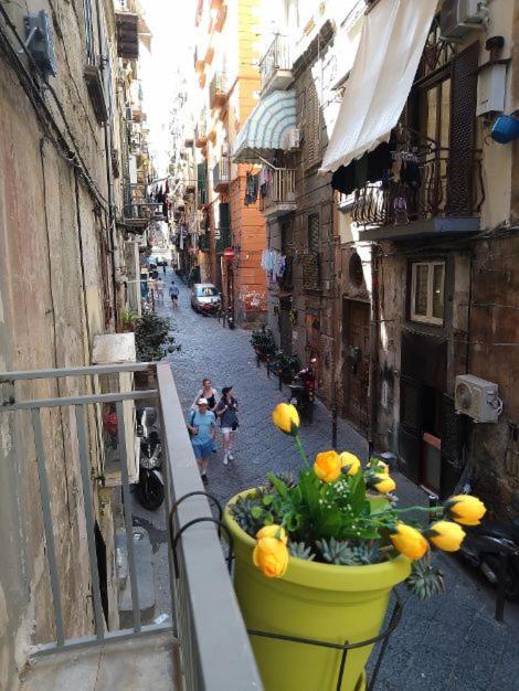 La Conchiglia Napoli Apartman Kültér fotó
