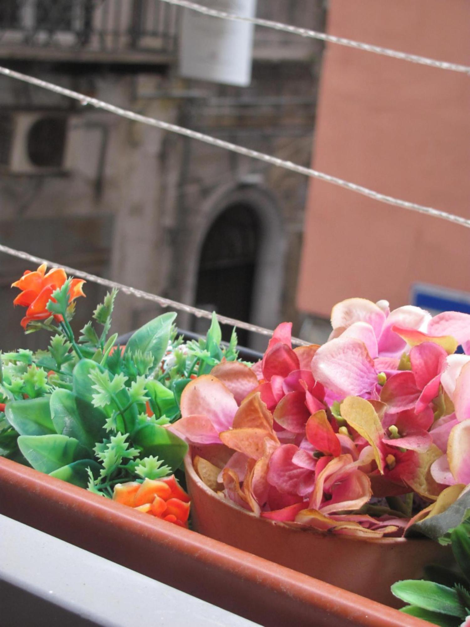 La Conchiglia Napoli Apartman Kültér fotó